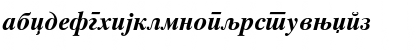 C_Times Bold Italic Font