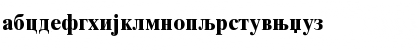 Times Cirilica Bold Font Times Cirilica Bold Font