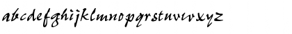 P700-Script Regular Font