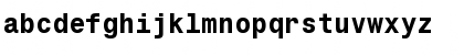 Monospac821 WGL4 BT Bold Font