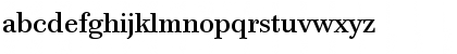 PB12TTP-Roman Regular Font