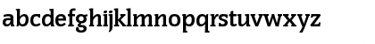 Congress-Serial Bold Font Congress-Serial Bold Font