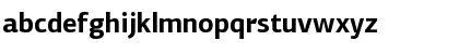 PF Agora Sans Pro Bold Font