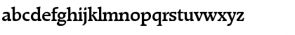 Raleigh-Serial-Medium Regular Font Raleigh-Serial-Medium Regular Font