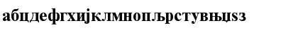 RomanCyrillic BoldA Font RomanCyrillic BoldA Font