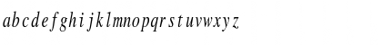 RomanMonoCondensed Italic Font RomanMonoCondensed Italic Font