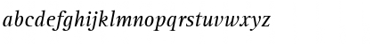 RotisSerif56 RomanItalic Font