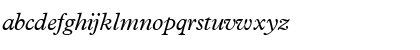 TerminusSSK Italic Font TerminusSSK Italic Font