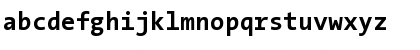 TheSans Mono Bold Font