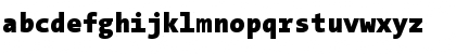 TheSans Mono Black Font