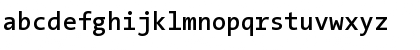 The Sans Mono- Regular Font