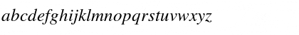 Times LT Italic Font Times LT Italic Font