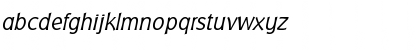 BadgerLightItalic Roman Font BadgerLightItalic Roman Font