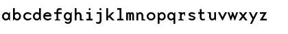 BaseMonoWideReg Regular Font