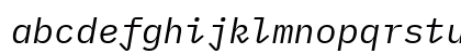 BlexMono NF Italic BlexMono NF Italic