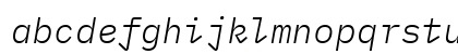 BlexMono NF Italic BlexMono NF Italic