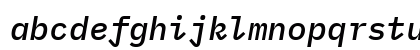 BlexMono NF Italic BlexMono NF Italic