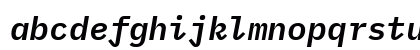 BlexMono NF Italic BlexMono NF Italic