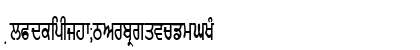 GurmukhiLys 010 Condensed Normal