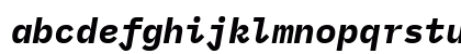 IBM Plex Mono Bold Italic IBM Plex Mono Bold Italic