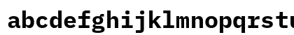 IBM Plex Mono Bold IBM Plex Mono Bold