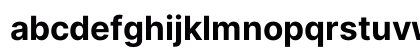 Inter Bold Italic