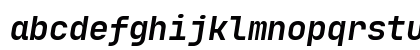 JetBrainsMono NF Bold Italic JetBrainsMono NF Bold Italic