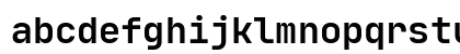 JetBrains Mono Bold JetBrains Mono Bold