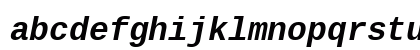 Liberation Mono Bold Italic