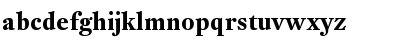 DTL Fleischmann Regular Font DTL Fleischmann Regular Font