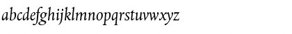 DTLAlbertinaT Italic Font