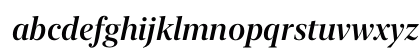 New York Extra Large Medium Italic New York Extra Large Medium Italic
