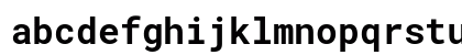 Roboto Mono Bold Roboto Mono Bold
