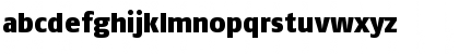 NeuseSSK Italic