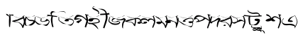 Progoty Warp Regular