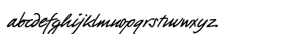 PT Script Barguzin Regular