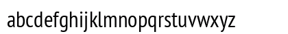 PT Sans Narrow Regular