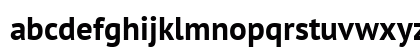 PT Sans Bold PT Sans Bold