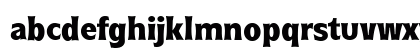 RoundestSerial-Xbold Regular