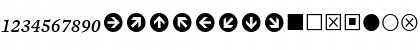 Mercury Numeric G2 Italic Font