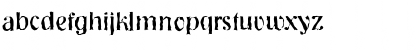 NashvilleRandom Regular Font NashvilleRandom Regular Font