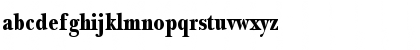 NewBaskerThin Bold Font