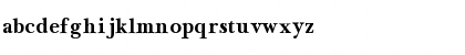 NewBaskerville Bold Font NewBaskerville Bold Font