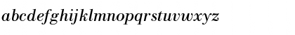 NewBodoni Italic Font NewBodoni Italic Font