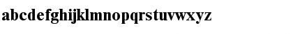 NewtonDOSCTT Bold Font