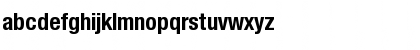 NimbusSanNovDCon Bold Font