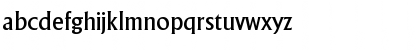 Adelon-Serial-Medium Regular Font Adelon-Serial-Medium Regular Font