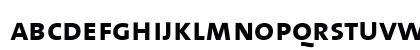 The Mix Bold- Bold