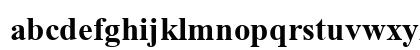 TR Times New Roman Bold