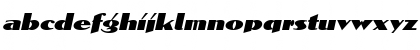 Domaign Italic Font